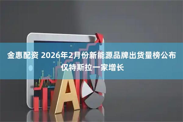 金惠配资 2026年2月份新能源品牌出货量榜公布 仅特斯拉一家增长