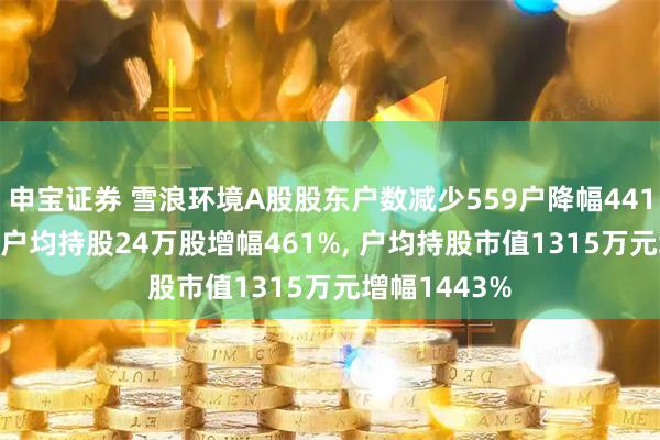 申宝证券 雪浪环境A股股东户数减少559户降幅441%, 流通A股户均持股24万股增幅461%, 户均持股市值1315万元增幅1443%