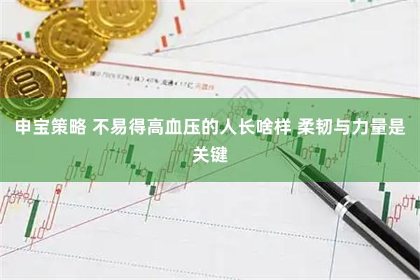 申宝策略 不易得高血压的人长啥样 柔韧与力量是关键